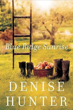 Romance novel 'Blue Ridge Sunrise' by Denise Hunter